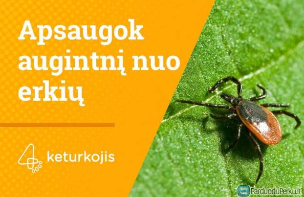 Apsauga Prieš Erkes