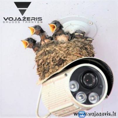 Apsauga stebėjimo kameros, signalizacijos, pagalbos mygtukas