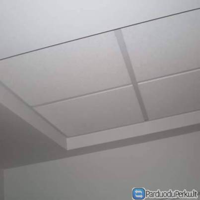 Armstrong lubos.Gipso kartonas
