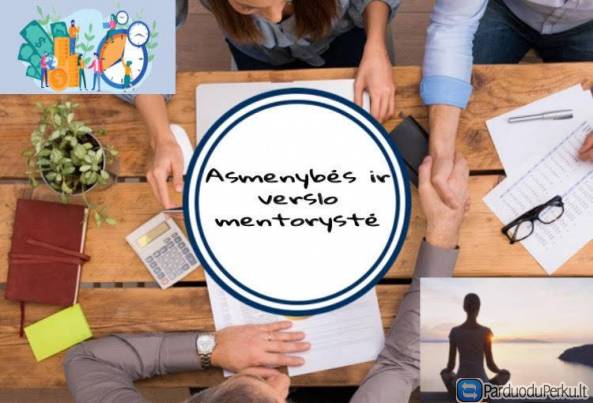 Asmenybės ir verslo mentoryste