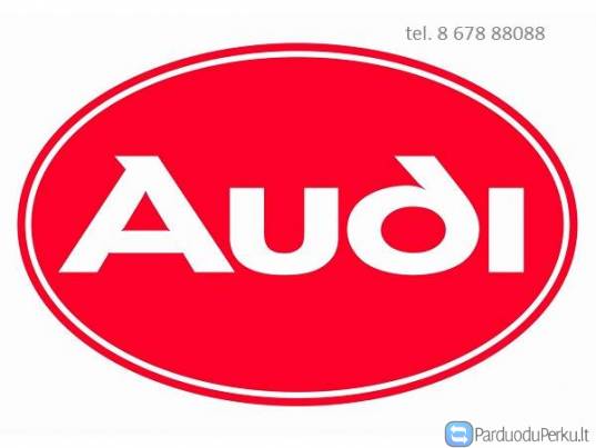 Audi dalimis