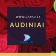 Audiniai internetu www.darau.lt