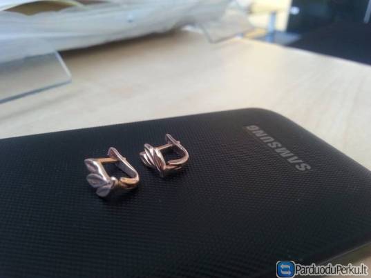 Auksiniai lapeliai 585