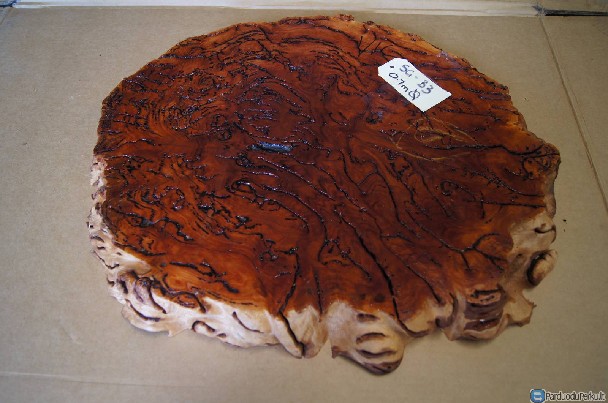 Australiška mediena Burl