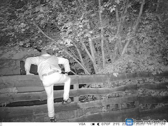 Automatinė kamera sodybos apsaugai