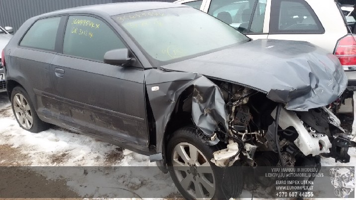 AUTOMOBILIU DALYS - AUDI A3, 2005.06 - 2008.07 FACELIFT 2.0 