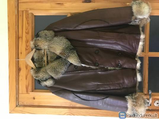 Barroni vilko kailio kailiniai