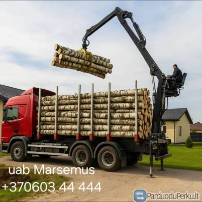 Beržas 40 €* malkos rąstais,rasteliais (дрова)