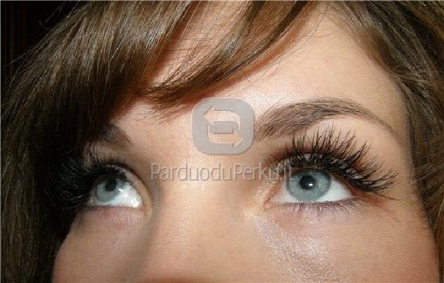 Blakstienų priauginimas. Akcija 60ltĄ