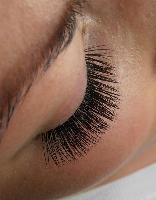 Blakstienų priauginimas Jūsų namuose 17 €