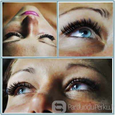 Blakstienų priauginimas Kaune