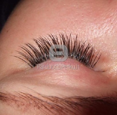 Blakstienu priauginimas 40lt