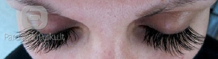 Blakstienu priauginimas!!