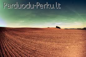 Brangiai perkame ž.ū. paskirties žemę