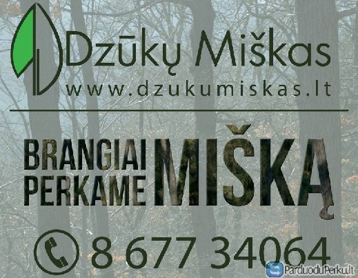 Brangiai perkame brandų mišką pietų Lietuvoje