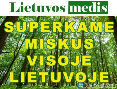 Brangiai perkame įvairaus amžiaus miškus