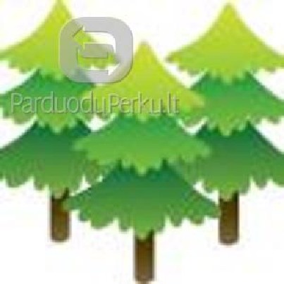 Brangiai perkame mišką Visoje Lietuvoje!! !!!