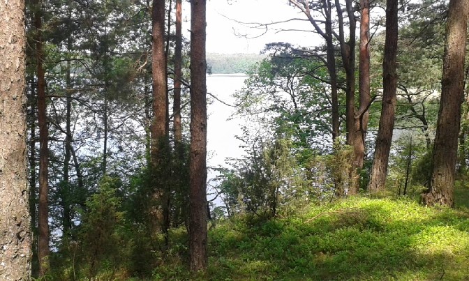 BRANGIAI PERKU MIŠKA GALI BŪTI SU BENDRATURČIAIS