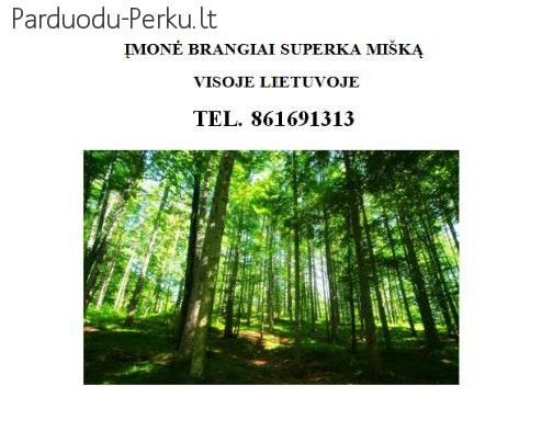 Brangiai superkamas miškas