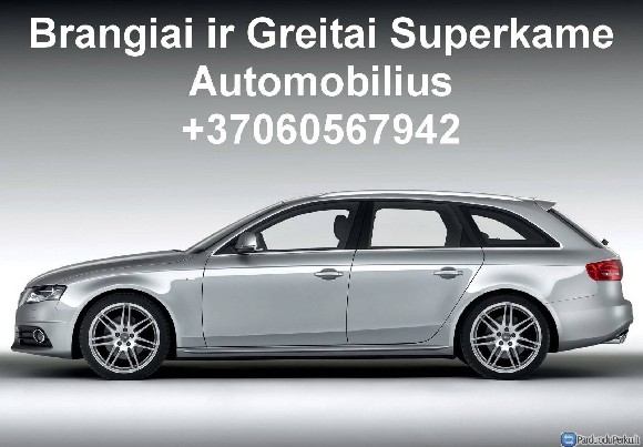 Brangus automobiliu supirkimas 8 684 64253