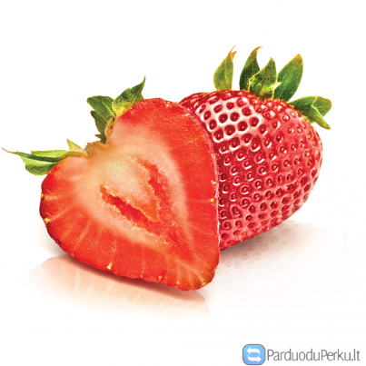 BRAŠKIŲ SKYNIMAS OLANDIJOJE NUO KOVO 16D.