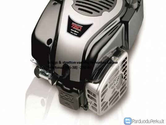 briggs & stratton varikliu remontas Kaune