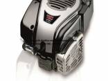 briggs & stratton varikliu remontas Kaune
