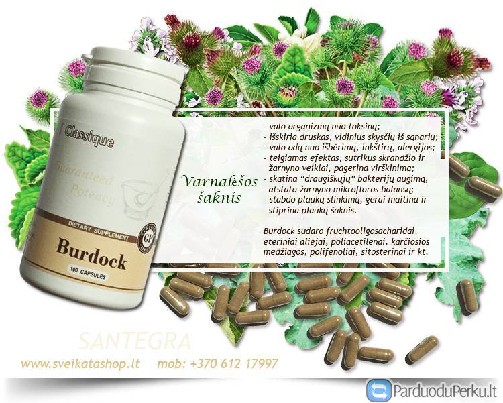 Burdock 100 kapsulių – maisto papildas Santegra JAV.