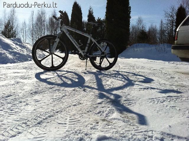 Busetto Special 26''