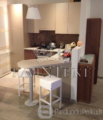 Butas S. Daukanto g.