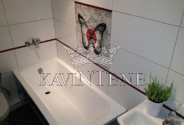 Butas S. Daukanto g.