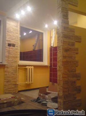 Buto remontas Panevezyje 860304094