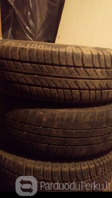 Civic padangos su skardom.