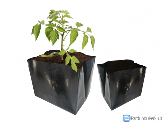 Daiginimo vazonėliai