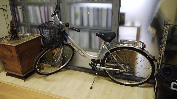 Dailus ARISTON dviratis