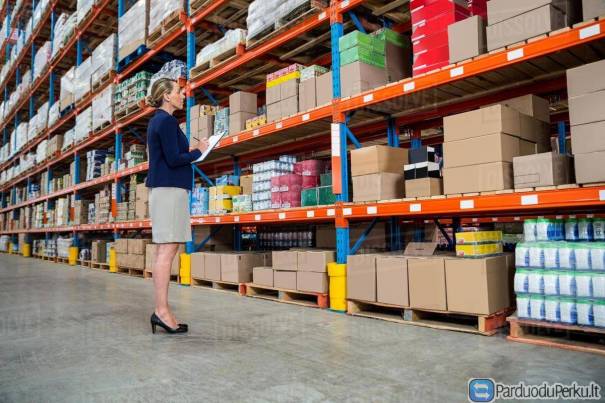 DARBAI OLANDIJOJE SKUBIAM IŠVYKIMUI