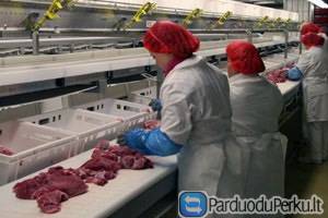 DARBAI PAKAVIMO FABRIKUOSE VOKIETIJOJE