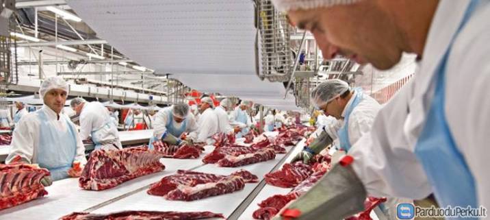 DARBAI VOKIETIJOJE SU RUSU K. ZINIOMIS