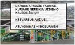 DARBAS AIRIJOJE RŪŠIAVIMO FABRIKE.SKUBUS IŠVYKIMAS