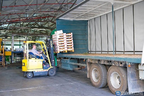 DARBAS ANGLIJOJE BE JOKIŲ REIKALAVIMŲ