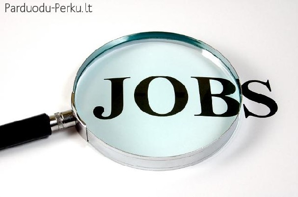 DARBAS LOGISTIKOS SANDELIUOSE IR FABRIKUOSE