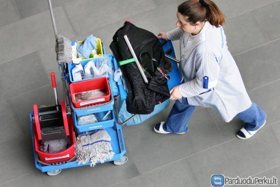 DARBAS LONDONO VIESBUCIUOSE BE ANGLU K. ZINIU