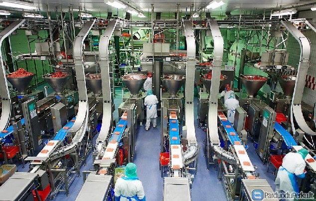 Darbas mėsos kombinate Vokietijoje 9.2eur./val Dar