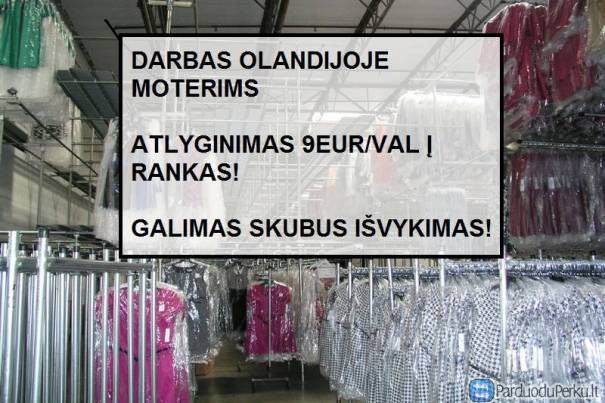 DARBAS MOTERIMS OLANDIJOJE