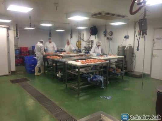 Darbas moterims zuvies fabrike Olandijoje