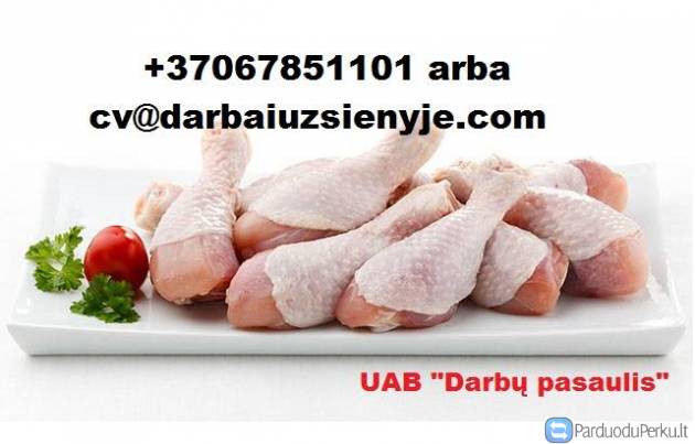 DARBAS VOKIETIJOJE FABRIKE NUO 10EUR/VAL