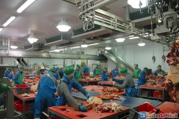 DARBAS VOKIETIJOJE MESOS FABRIKE SKUBUS ISVYKIMAS