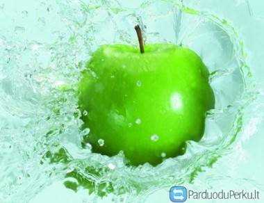 DARBAS VOKIETIJOJE VAISIŲ FABRIKE