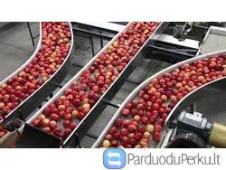 Darbas Vokietijoje vaisių fabrike