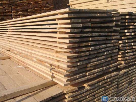 DARBAS VYRAMS PRIE MEDIENOS OLANDIJOJE